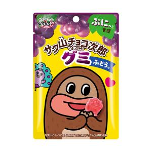 正栄デリシィ サク山チョコ次郎グミ ブドウ味 47g×10袋（3月中旬頃入荷予定）