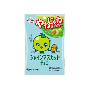 正栄デリシィ シャインマスカットチョコ 30g×12袋（9月下旬頃入荷予定）