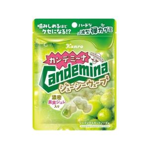 カンロ カンデミーナグミ ジューシーウェーブ 66g×6袋（9月下旬頃入荷予定）