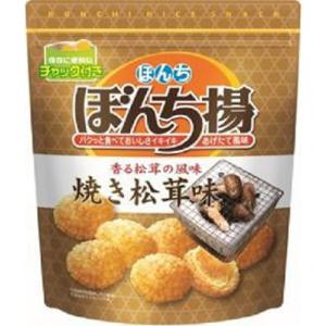ぼんち ぼんち揚 焼き松茸味 チャック付 90g×12入