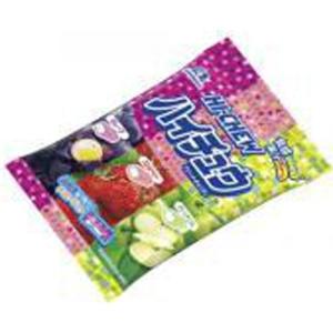 ノーベル カチカチちびカメカメサワーズグミ フルーツアソート 70g 72