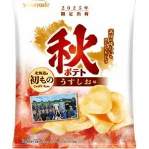 山芳製菓 秋ポテト うすしお味 75g×12袋