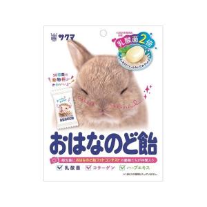 サクマ おはなのど飴 62g×10袋（1月下旬頃入荷予定）