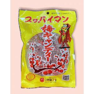 銀の汐 サクッといかの姿フライ 23g 100コ入り (4589905334411c) : さんき