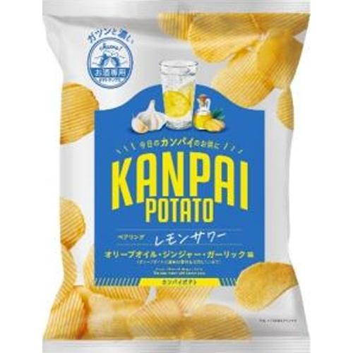 国分 KANPAI POTATO レモンサワー専用 50g×12袋