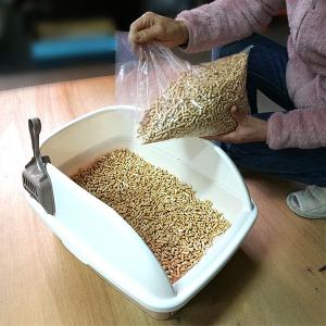 【小分け】木質ホワイトペレット16kg(2kg...の詳細画像4