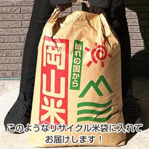 木質ホワイトペレット20kg (約33L) 猫...の詳細画像2