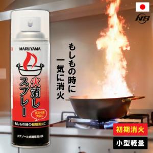 消火スプレー 火消しスプレー 日本製 消火具 消...の商品画像