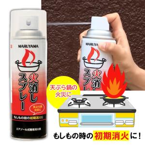 消火スプレー 火消しスプレー 日本製 消火具 ...の詳細画像1