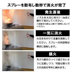 消火スプレー 火消しスプレー 日本製 消火具 ...の詳細画像2