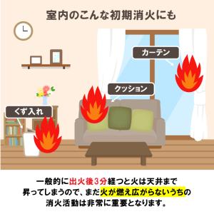 消火スプレー 火消しスプレー 日本製 消火具 ...の詳細画像3