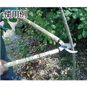 【プロが認めた 】枝切鋏 太枝切り 木柄 10...の詳細画像1