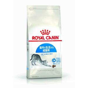 ロイヤルカナン キャット インドア 10kg｜ikoapetfood