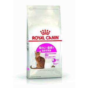 ロイヤルカナン キャット セイバー エクシジェント 2kg