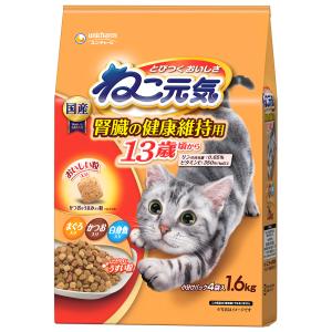 アイシア（AIXIA） MiawMiawパウチ ジューシー あじわい まぐろ 60g MJ