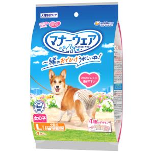 デオシート しっかり超吸収 無香消臭タイプ スーパーワイド ( 23枚入