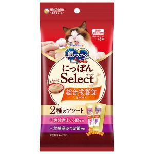 ペットライン ドクターズケア 猫 キドニーケア チキンテイスト 480g