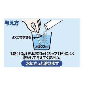 ハイペット アクアコール 10g×10本入の詳細画像1