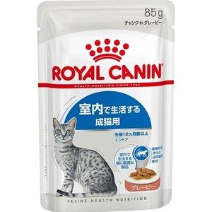 ロイヤルカナン キャット パウチ インドア グレービー 85g×12個セット（ボール販売）