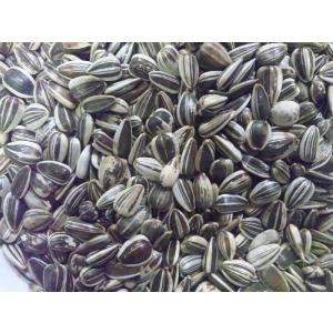 近喜商事 ヒマワリシード 小粒 アルゼンチン産 15kg