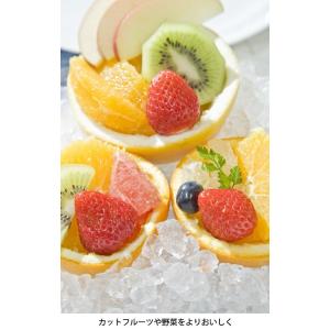 氷砕機 電動式アイスクラッシャー アイスワン ...の詳細画像2