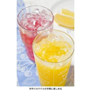 氷砕機 電動式アイスクラッシャー アイスワン ...の詳細画像4