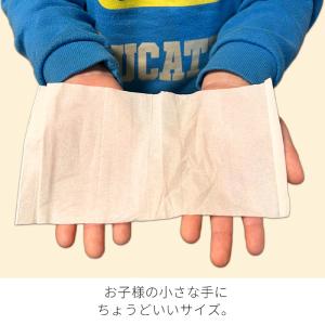 ハーフサイズティッシュ ハロー ハーフソフトパ...の詳細画像5