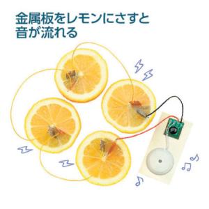 レモン電池キット 理科 実験 自由研究 アーテックの詳細画像2