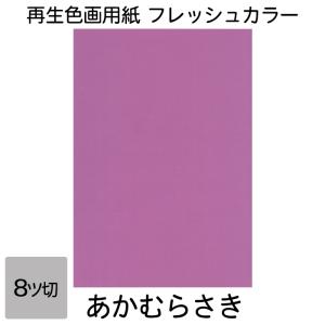画用紙 色画用紙 フレッシュカラー 八ツ切 10枚 大王製紙