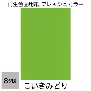 画用紙 色画用紙 フレッシュカラー 八ツ切 10...の商品画像