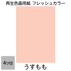 画用紙 色画用紙 フレッシュカラー 四ツ切 10...の商品画像