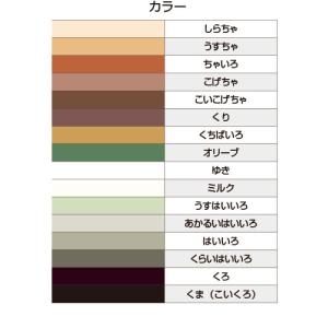 画用紙 色画用紙 フレッシュカラー 四ツ切 1...の詳細画像2