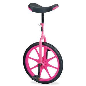 EVERNEW ピンク 一輪車 スタンド付き　ノーパンクタイヤ EVERNEW エバニュー 一輪車（ノーパンク) 16 ピンク EKD136-120 (送料