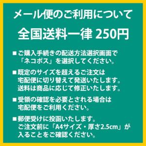 折り紙 おりがみ 単色 100枚入 あさぎ 浅...の詳細画像5