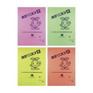 画用紙 色画用紙  蛍光ニューカラーR 8ツ切判（10枚） フラッシュグリーン リンテック