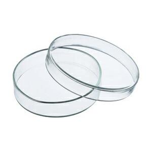 ペトリ皿  実験用品 理科（シャーレ） φ80×高さ15mm