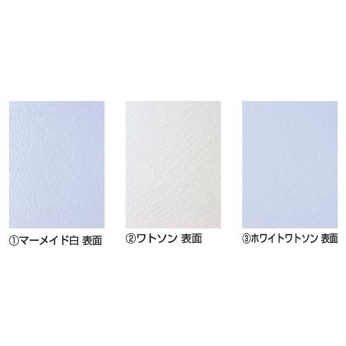 画用紙 白 ホワイト 水彩紙 4ツ切（50枚） （2）ワトソン ミューズ