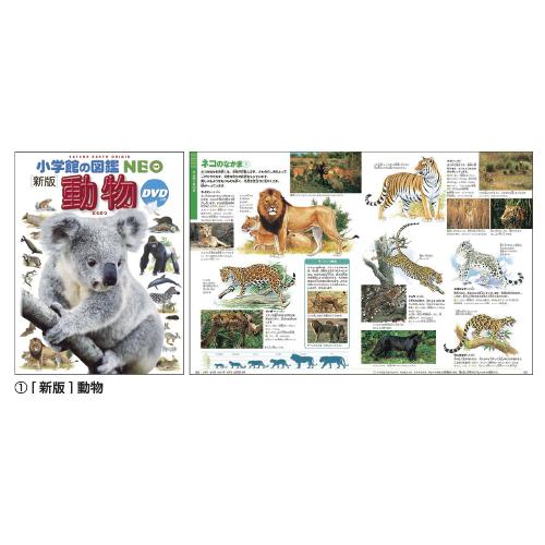 小学館の図鑑NEO （1）[新版]動物 小学館