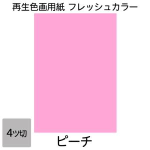 画用紙 色画用紙 フレッシュカラー 四ツ切 10枚 大王製紙 四つ切り ピーチ