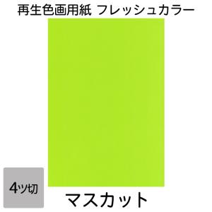 画用紙 色画用紙 フレッシュカラー 四ツ切 100枚 マスカット