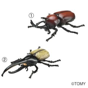 アニア 昆虫王者セット タカラトミーの買取情報