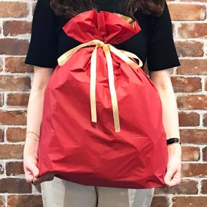ラッピング ギフト袋 ポリ巾着袋 梨地 巾着袋...の詳細画像4
