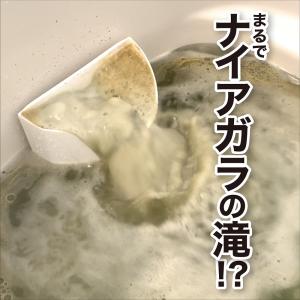 風呂釜洗浄剤 ナイアガラーン2回分セット ピュ...の詳細画像1