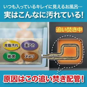 風呂釜洗浄剤 ナイアガラーン2回分セット ピュ...の詳細画像2