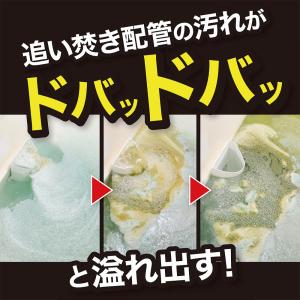 風呂釜洗浄剤 ナイアガラーン2回分セット ピュ...の詳細画像4