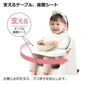 ベビーチェア フィージーR ミントブルー リッ...の詳細画像3