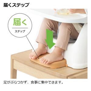 ベビーチェア フィージーR ミントブルー リッ...の詳細画像4