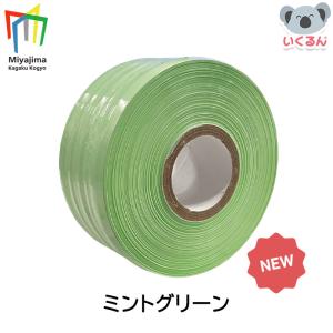紐 梱包 荷造り 工作 手芸 編み物 スマートPE レコード巻テープ 500m 単色 ミントグリーン ブラック 宮島化学工業