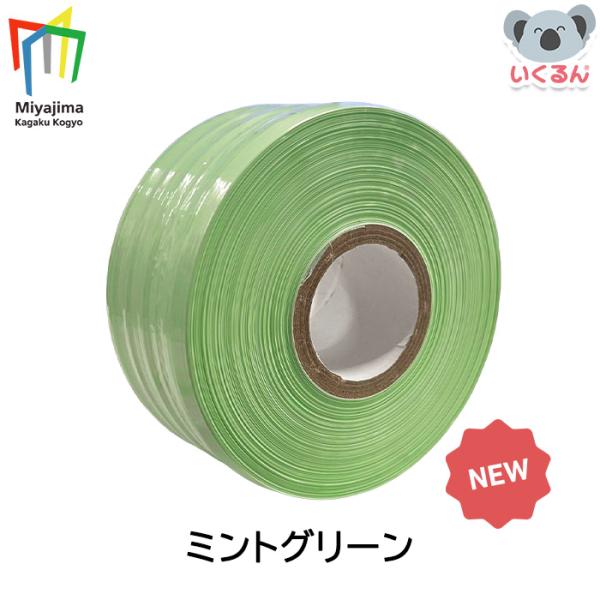 紐 梱包 荷造り 工作 手芸 編み物 スマートPE レコード巻テープ 500m 単色 ミントグリーン...