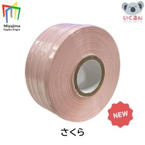 紐 梱包 荷造り 工作 手芸 編み物 スマートPE レコード巻テープ 500m 単色 さくら ブラック 宮島化学工業｜いくるんYahoo!ショッピング店